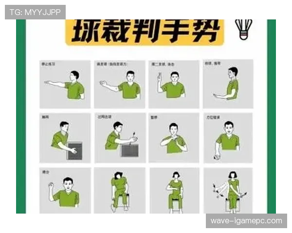 篮球裁判手势大全：从吹哨到判罚的规范解读