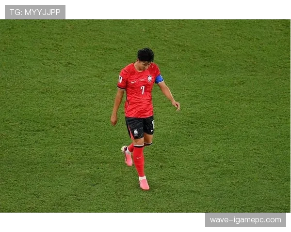 韩国对南非战报：0-1失利结束小组赛